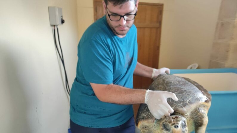 Calimera in lutto: è morto a 31 anni Enrico Panzera, il biologo che salvava le tartarughe
