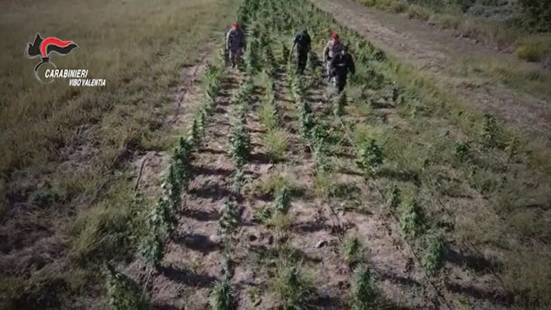 Armi e droga sequestrati in un'azienda del Vibonese, due arresti