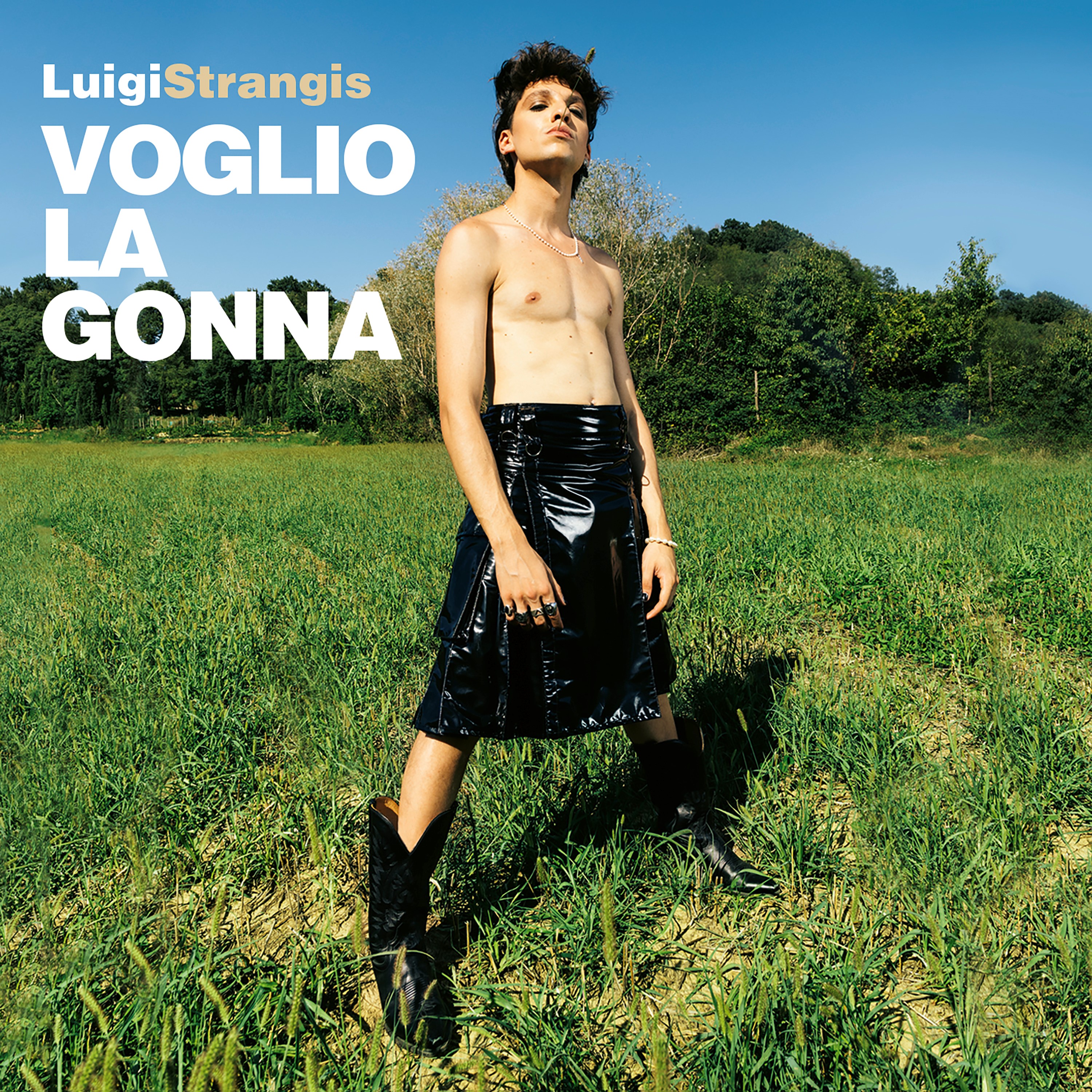 La copertina di "Voglio la gonna", il nuovo album di Luigi Strangis