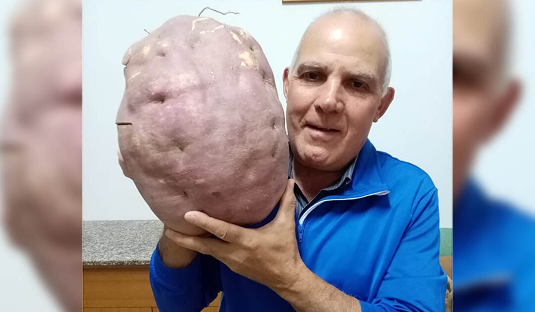 Alfonso Mazzeo con la sua patata da 7 chili