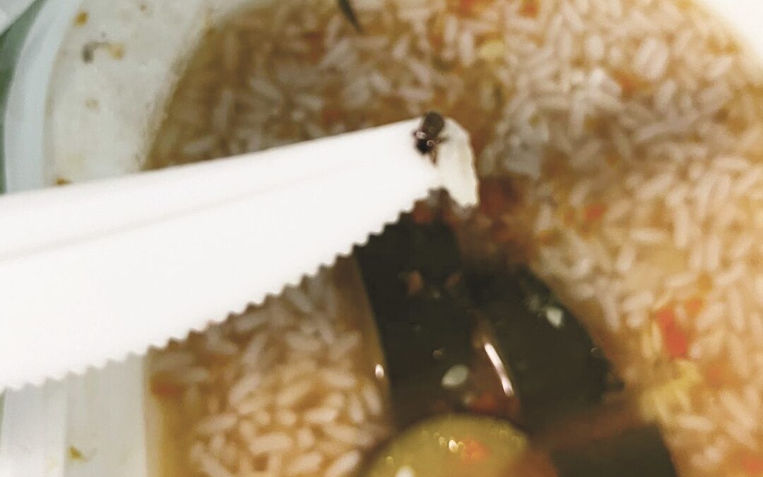 Un piccolo ragno trovato da un degente nella pastina appena servita