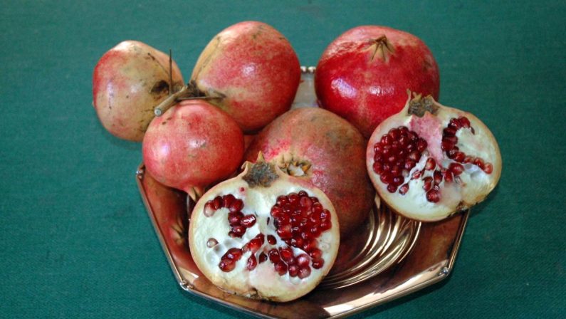 Dagli scarti del melograno nuove possibili super molecole benefiche
