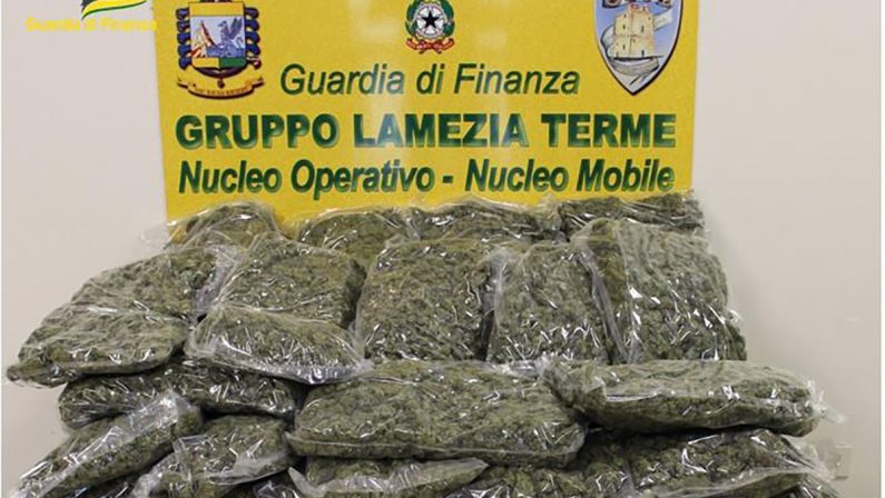 Droga spedita via corriere: sequestrati 55 kg di marijuana, un arresto