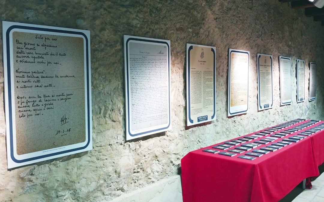 L'allestimento della mostra dedicata a Camilleri al Sistema bibliotecario vibonese