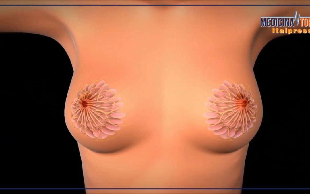 Tumore al seno, la sopravvivenza a 5 anni dalla diagnosi è dell’88%