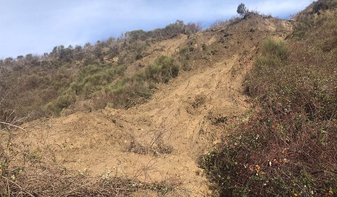 Parte del fronte della frana di Cerreta