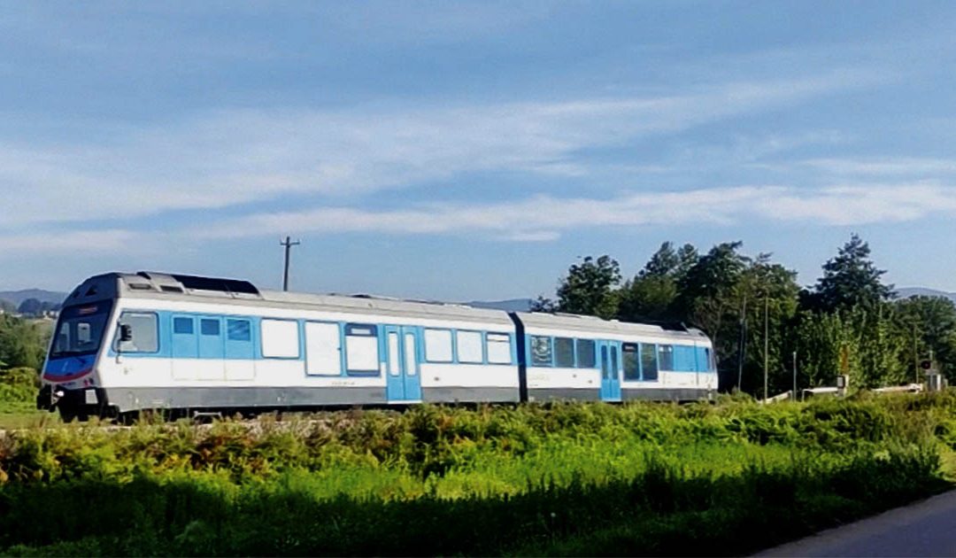 Un treno sulla tratta Cosenza-Catanzaro