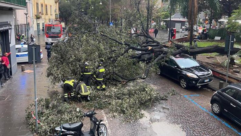 Tempesta di vento a Napoli, crollano un albero e un'impalcatura