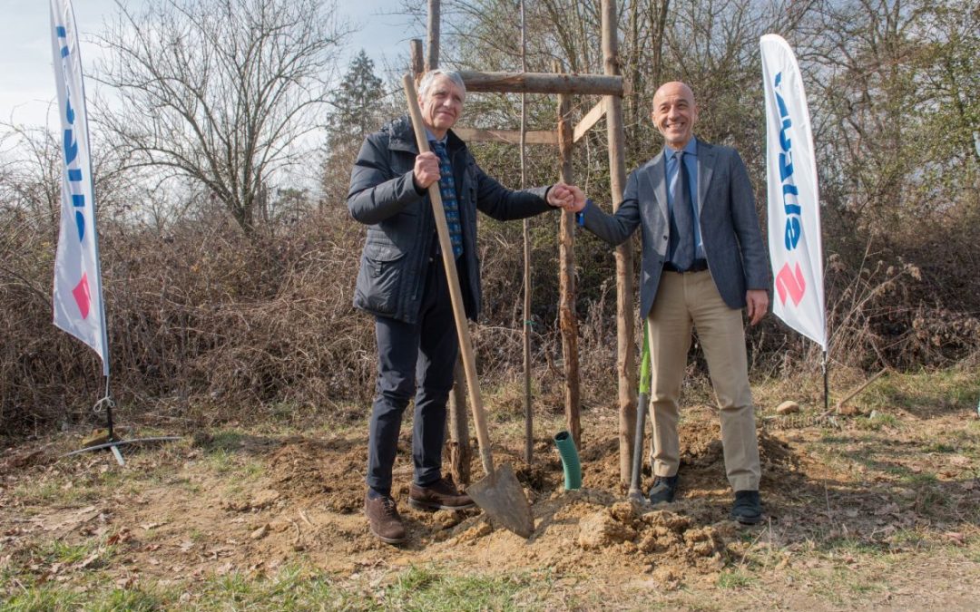 Suzuki Italia pianta 72 alberi alla Parco della Mandria