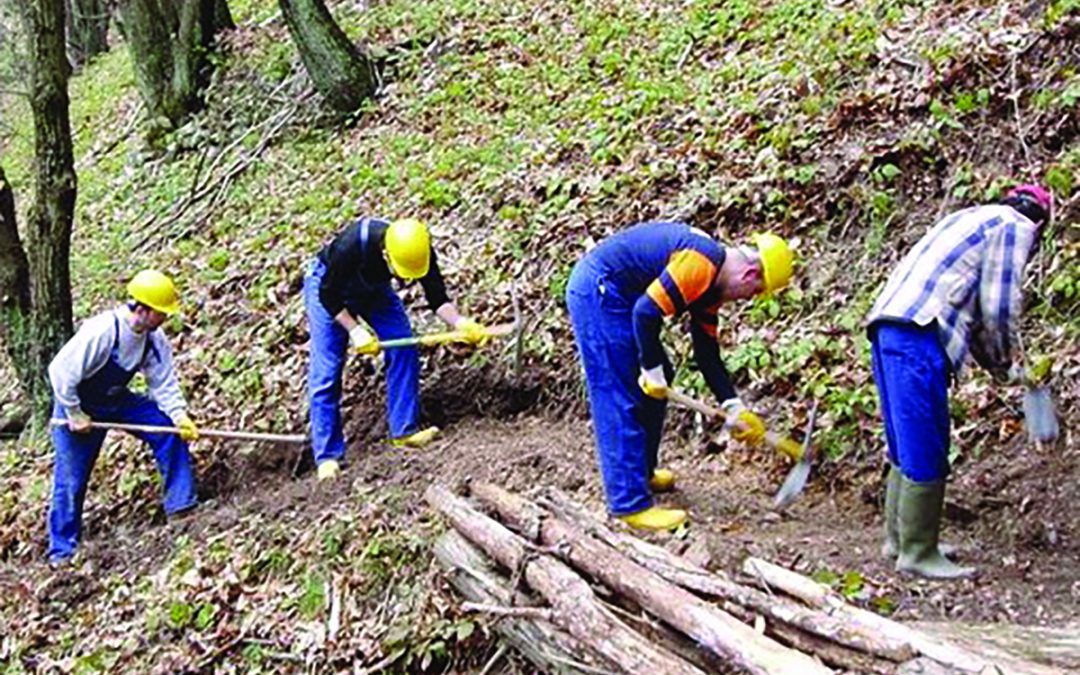Allarme Flai Cgil: «La vertenza forestali non è ancora chiusa»