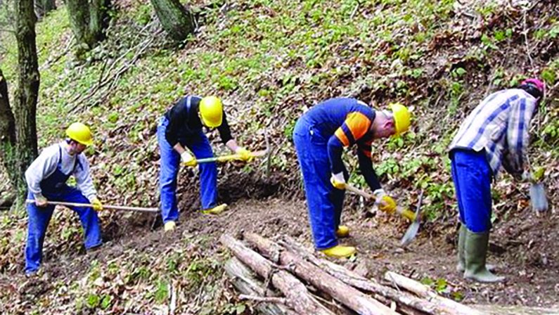 Allarme Flai Cgil: «La vertenza forestali non è ancora chiusa»