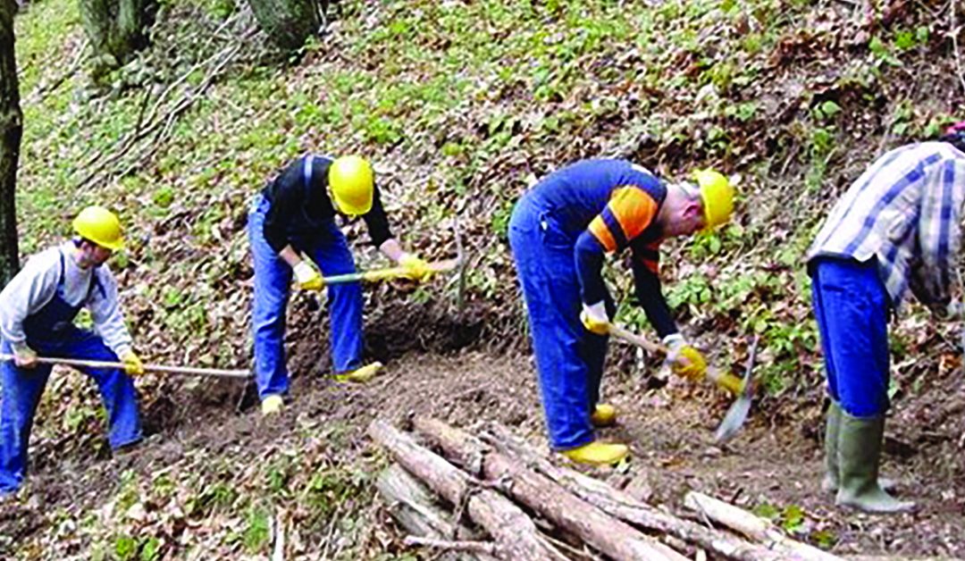 Forestali calabresi in stato di agitazione