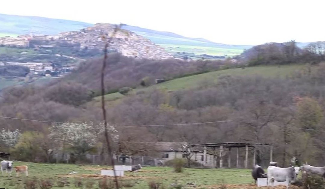 I terreni di proprietà di Pucillo