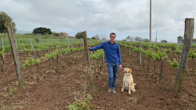 Renato, il grafico romano emigrato in Calabria per coltivare vigne e bellezza