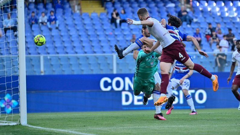 Il Torino passa a Marassi, Buongiorno e Pellegri stendono la Samp