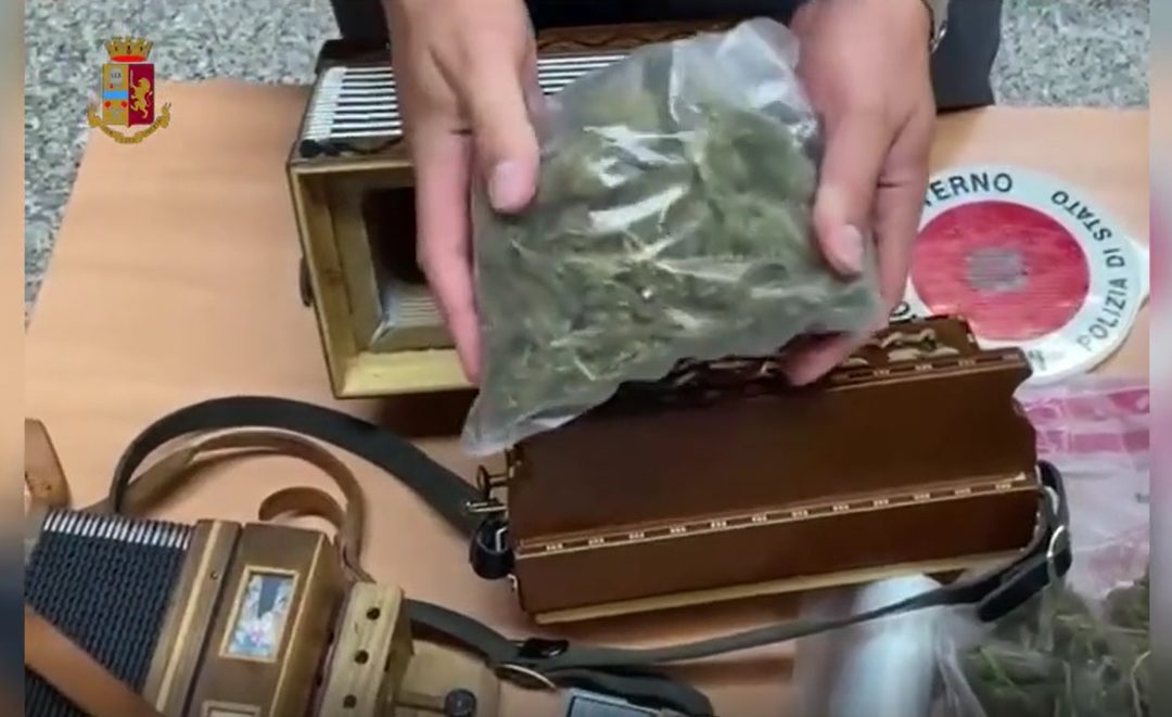 La marijuana nascosta nella fisarmonica