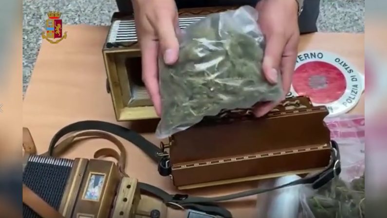 Nascondeva marijuana in una fisarmonica, un arresto a Vibo