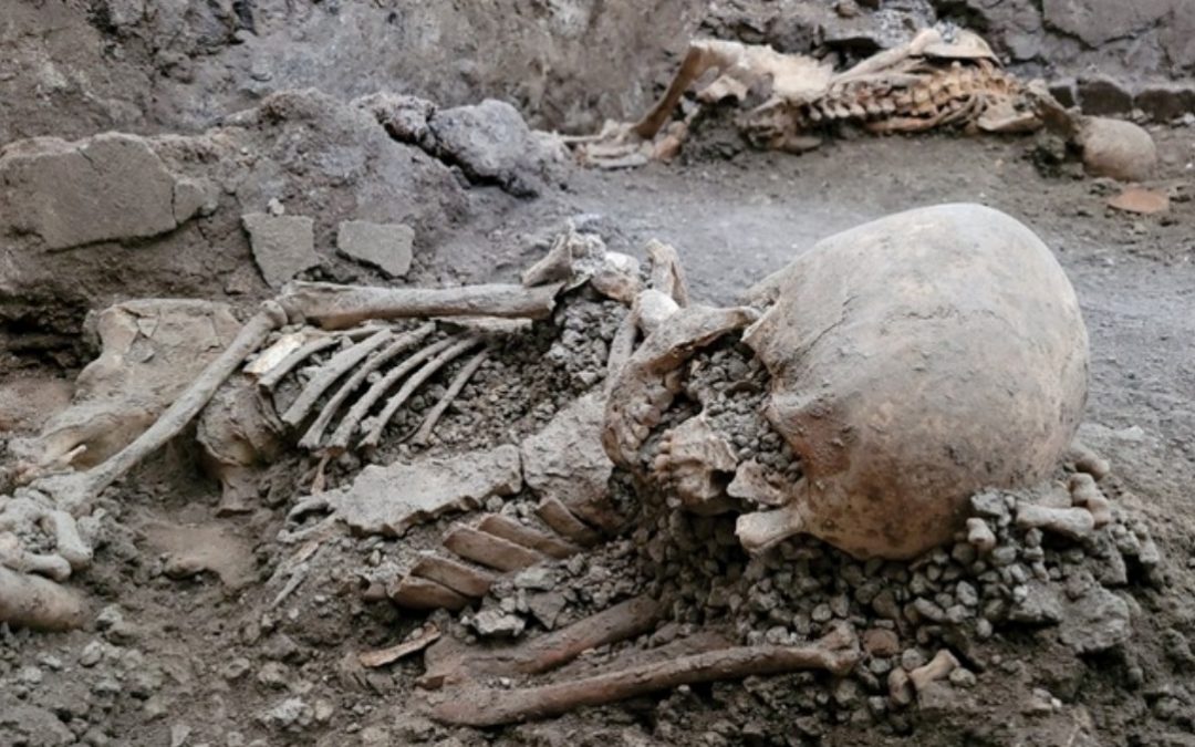 Gli scheletri scoperti a Pompei