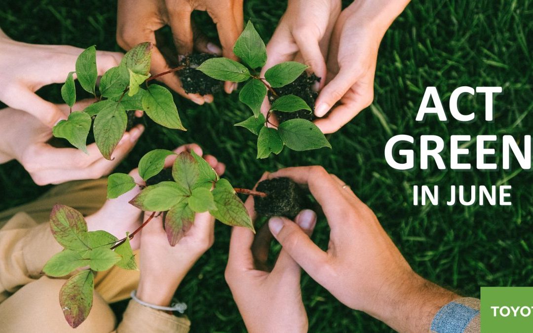 Toyota promuove la sostenibilità con la Green Month Campaign