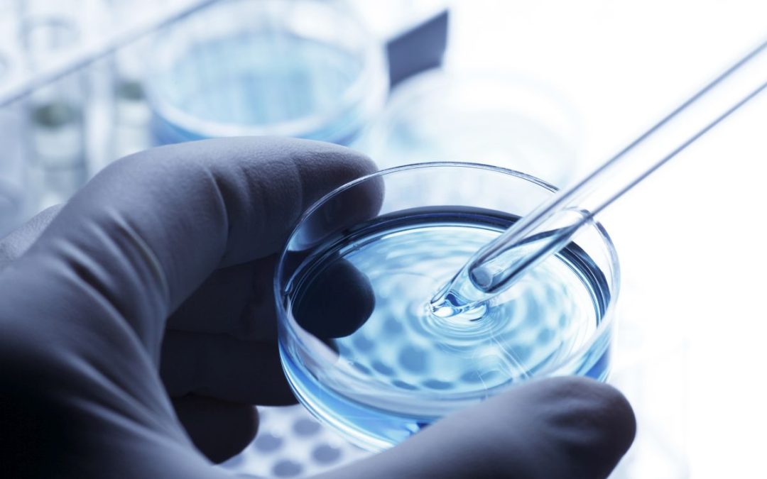 Farmaceutica, Takeda annuncia la rimborsabilità di Maribavir