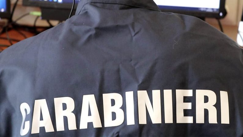 Carabinieri, otto le denunce per reati ambientali nel reggino