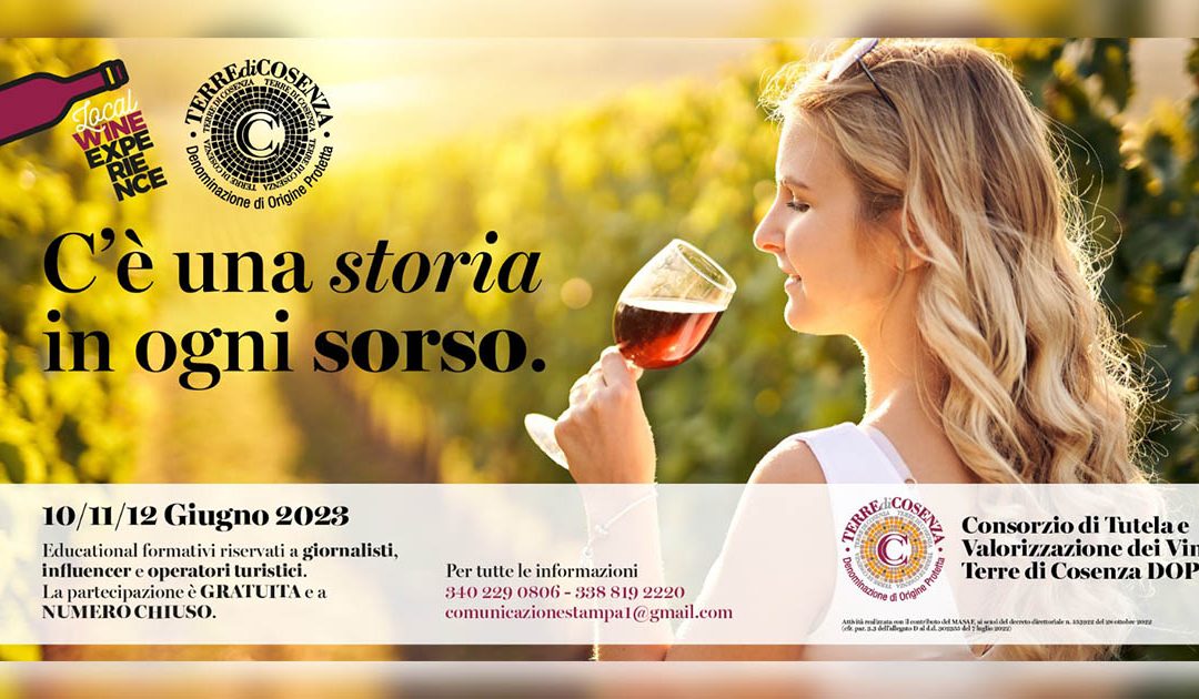 Consorzio di tutela e valorizzazione vini Dop Terre di Cosenza: al via il press tour