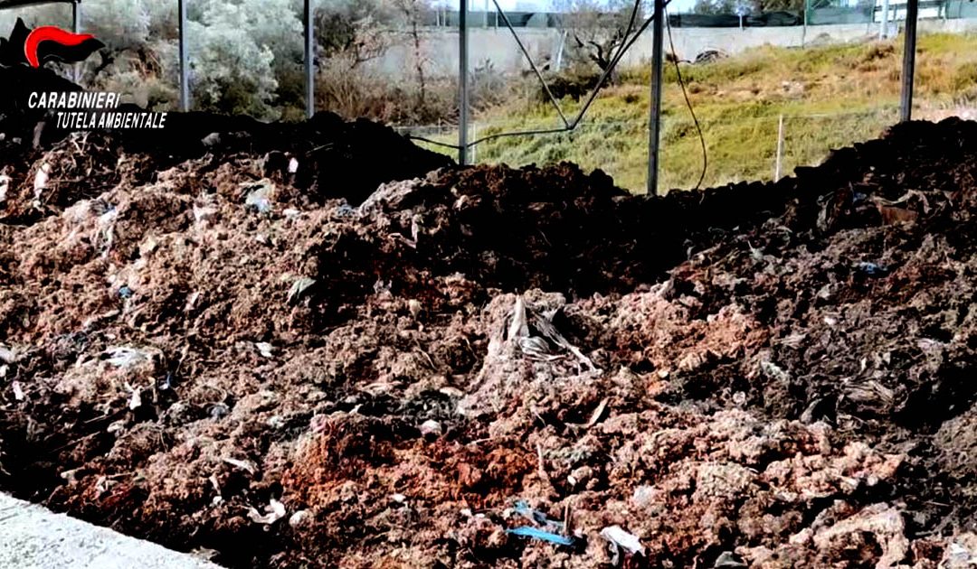 L’impianto di compostaggio di Cotronei