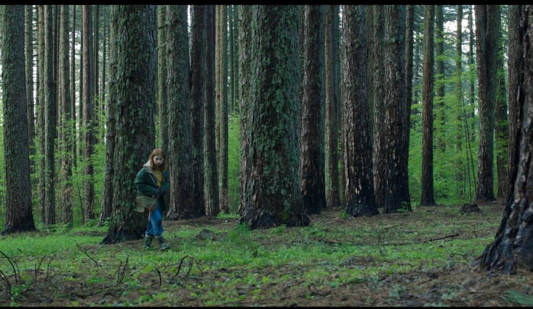 Una scena di Home education in Sila