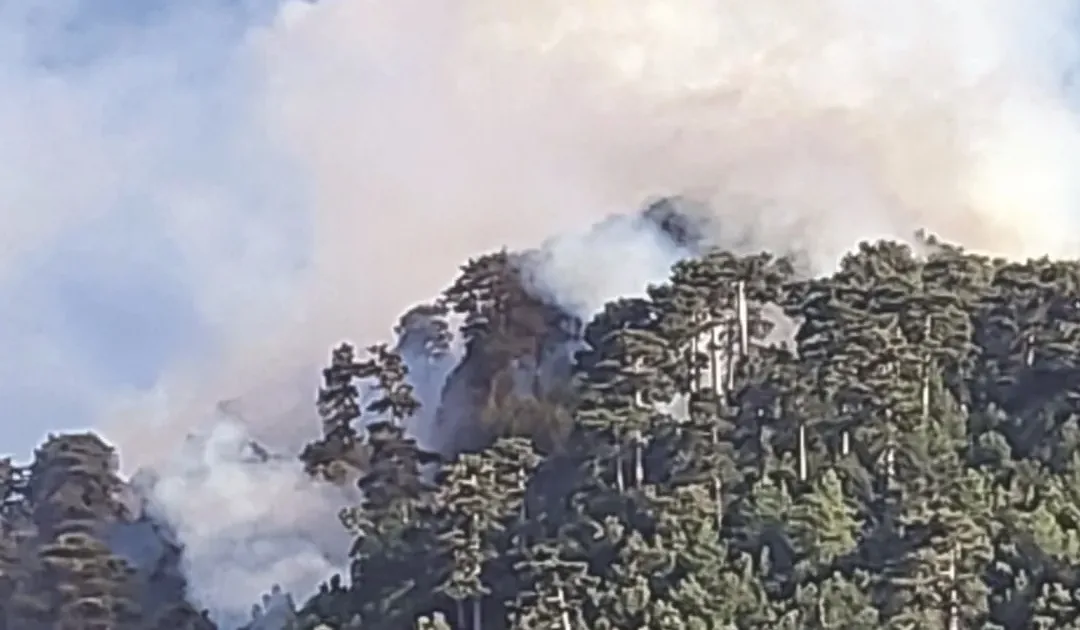 Un incendio in Aspromonte