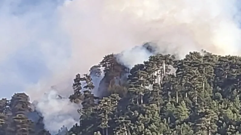 Incendi, l’Aspromonte è assediato dal fuoco