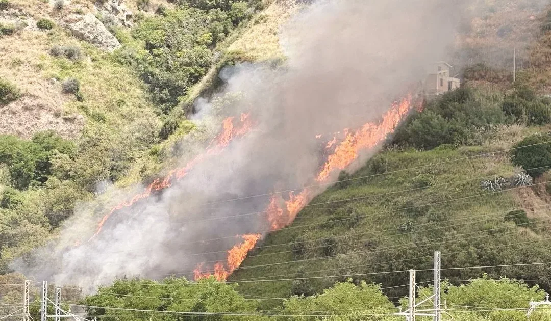 Un incendio in Calabria