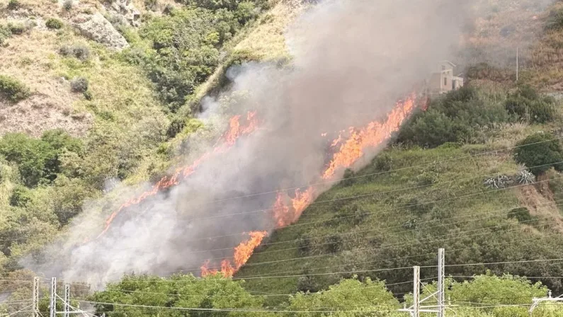 La Calabria brucia, oltre 70 incendi. Arrivano rinforzi dalle altre regioni