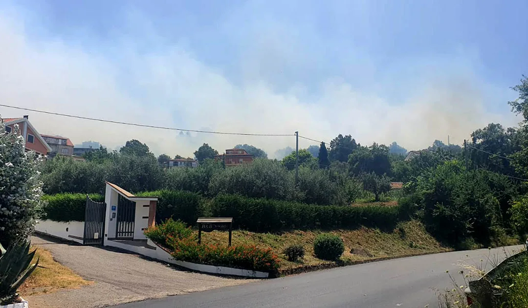 Vasto incendio alle porte di Vibo, fuoco intenso alimentato dal vento