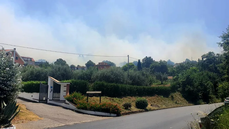 Vasto incendio alle porte di Vibo, fuoco intenso alimentato dal vento