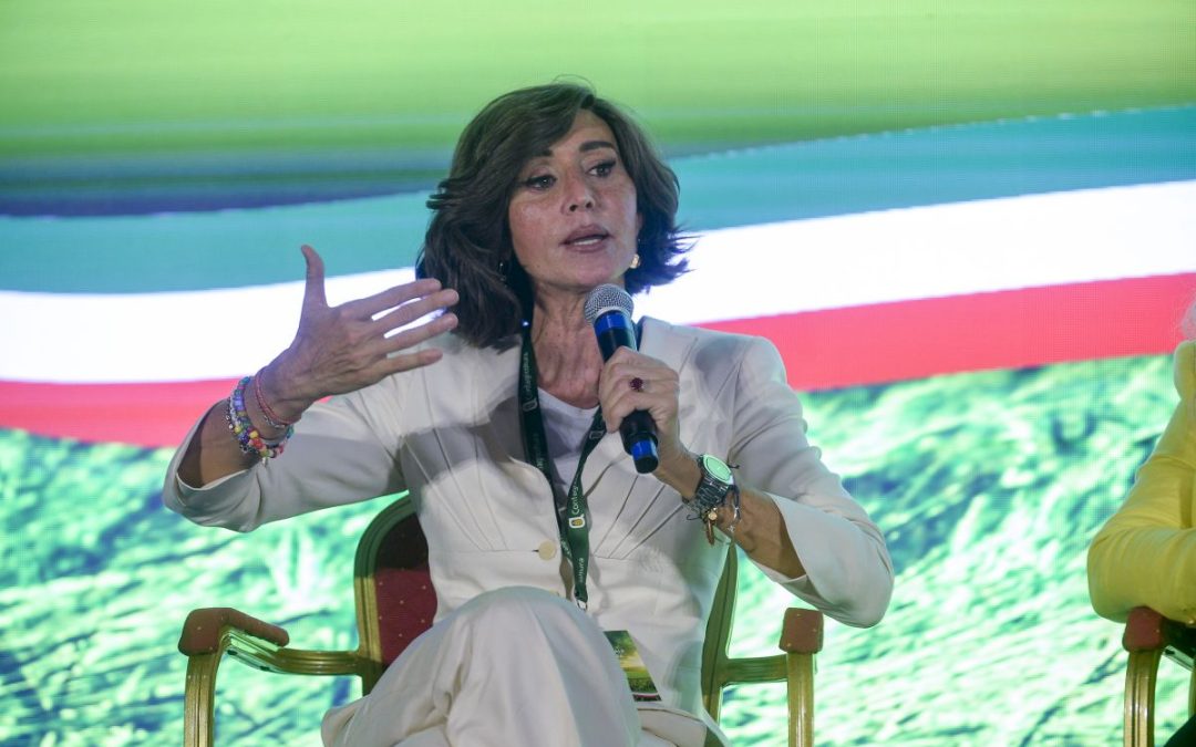 Università, Bernini “Apertura progressiva per iscrizioni a medicina”