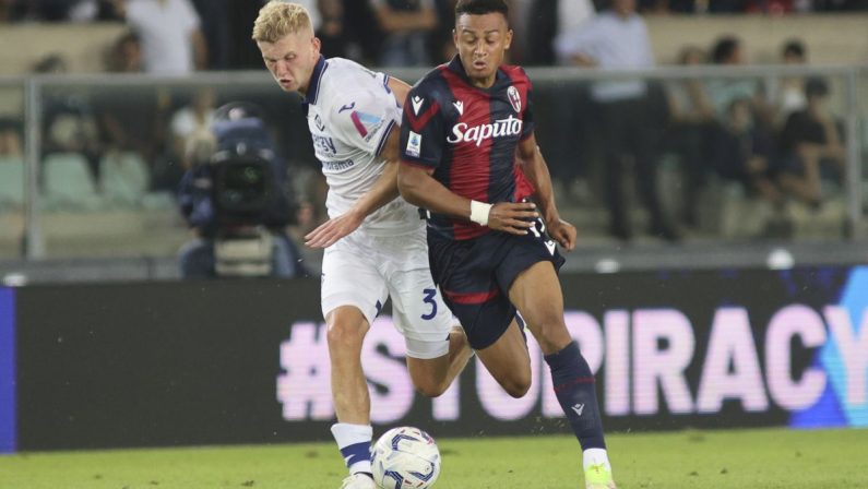 Niente gol fra Verona e Bologna al “Bentegodi”