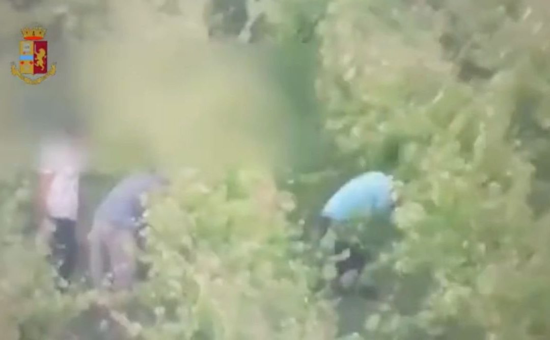 Cinque stranieri arrestati a Cagliari per sfruttamento del lavoro nero