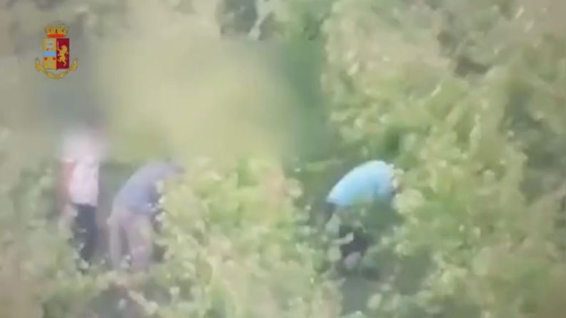Cinque stranieri arrestati a Cagliari per sfruttamento del lavoro nero