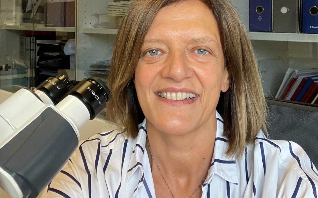 Basso presidente della Association for European Cardiovascular Pathology
