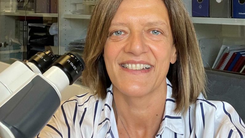 Basso presidente della Association for European Cardiovascular Pathology