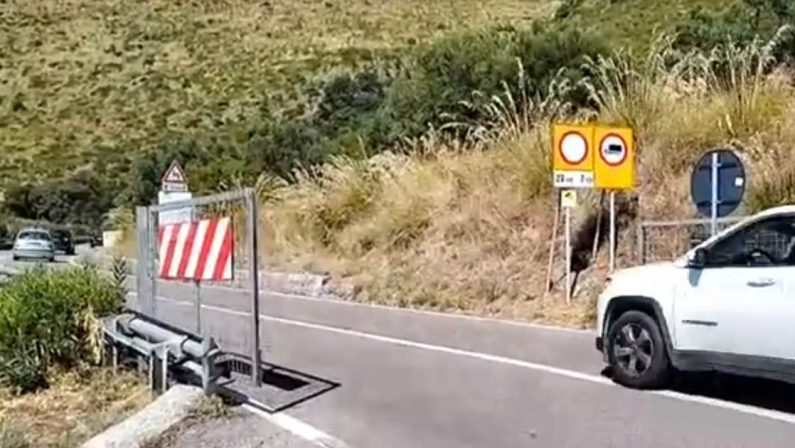 Frana di Maratea, riapre la statale 18 a Castrocucco