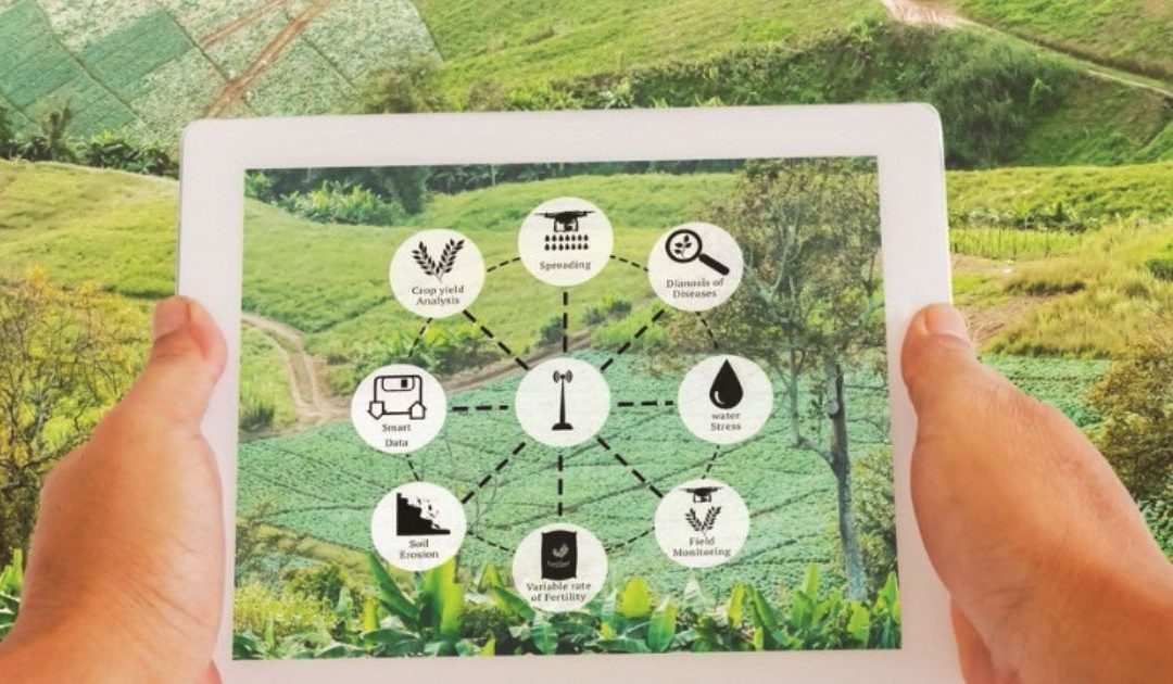 Agricoltura di precisione, il cibo alternativo che non inquina