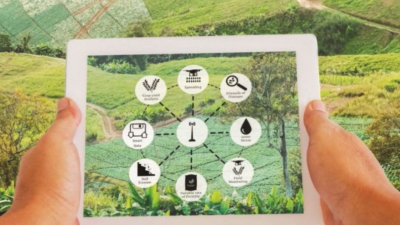 Agricoltura di precisione, il cibo alternativo che non inquina