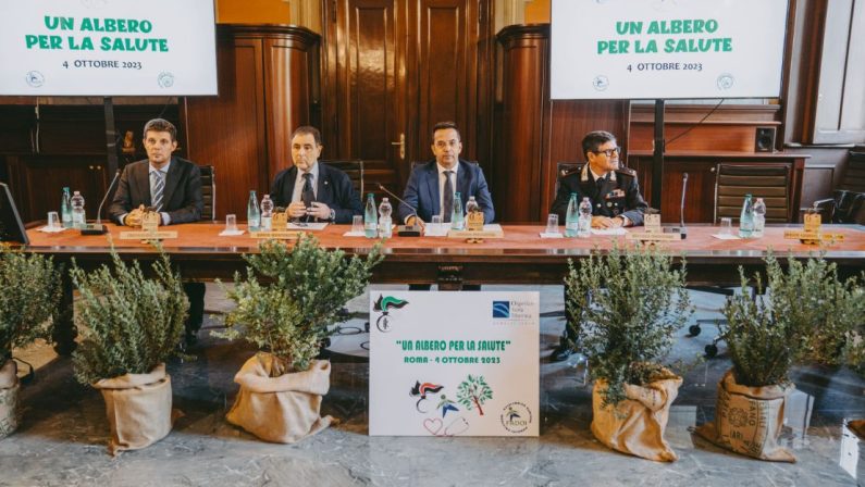 “Un albero per la salute”, progetto per ospedali più green
