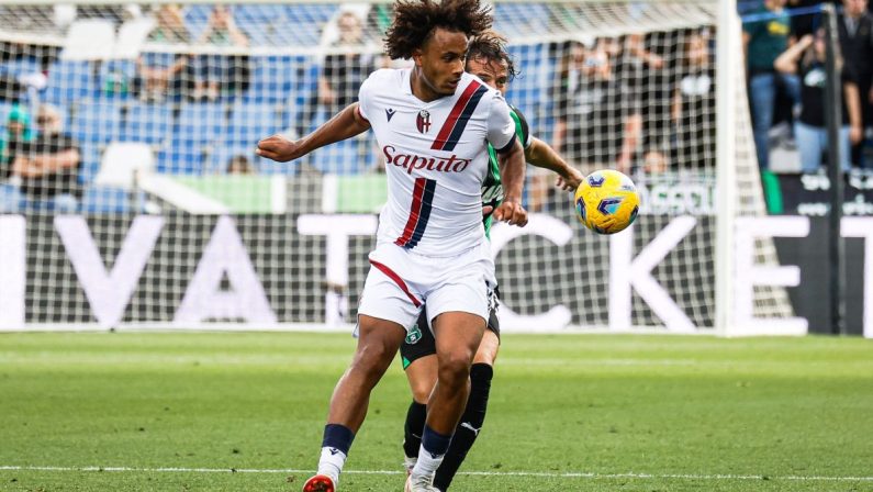 Boloca risponde a Zirkzee, Bologna-Sassuolo 1-1