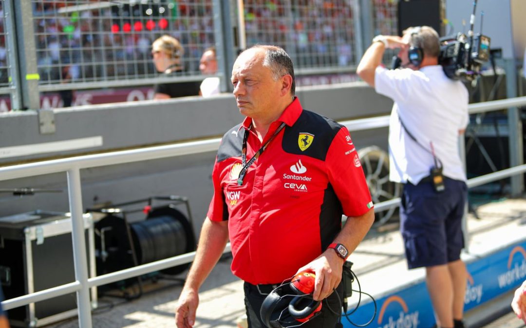 Vasseur “In Brasile per continuare a crescere e migliorare”