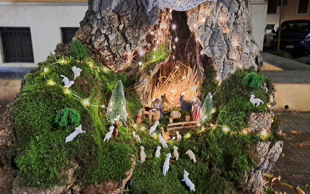 Cosenza, la magia del Natale del presepe nell’albero