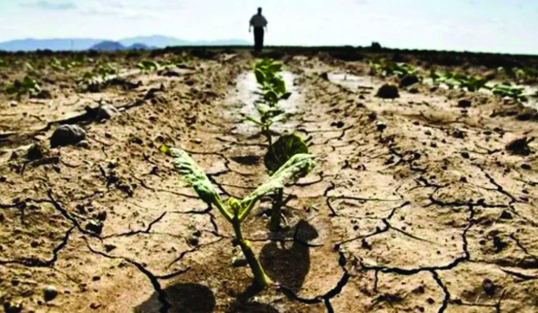 Clima in Calabria: il 2023 l’anno più arido degli ultimi 10