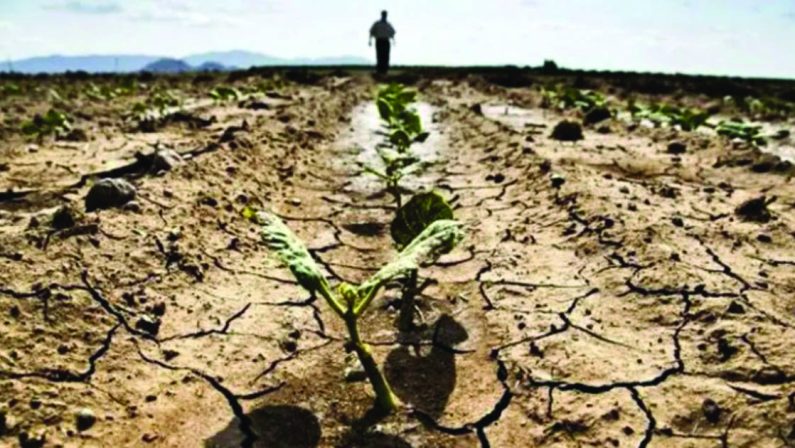 “UMANITÀ IN FUGA”: LA COLPA È (ANCHE) DEI CAMBIAMENTI CLIMATICI