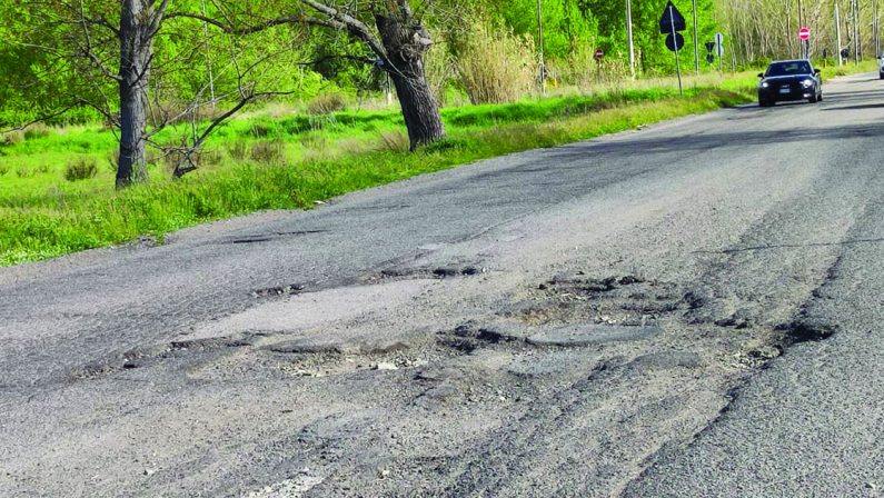 Zona industriale di Rende, ancora problemi per strade dissestate, randagismo e trasporti